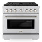 ZLINE Paramount Gas Range Convection Oven 6 Burners 91.4cm SGR36